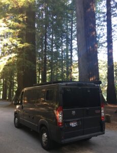 Visiting California Redwoods National Park